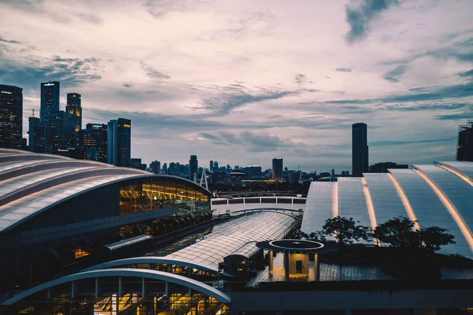 Singapore Whale Sighting Draws Global Attention — Ecotourism Potential Surges — Sports