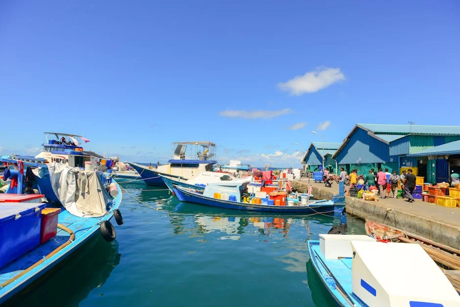 Solomon Islands Elects New Leader — Markets Watch for China Shift