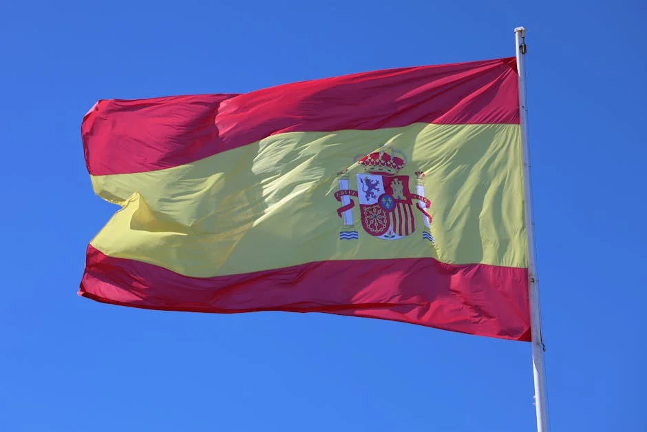 Spain's Competition Authority Launches Investigations Amid Fears of Market Distortion