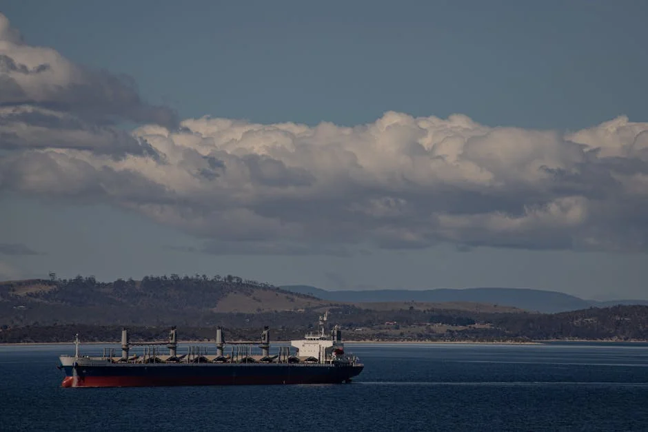 Tasmania Faces Economic Turmoil as Heavy Flooding Disrupts Local Businesses