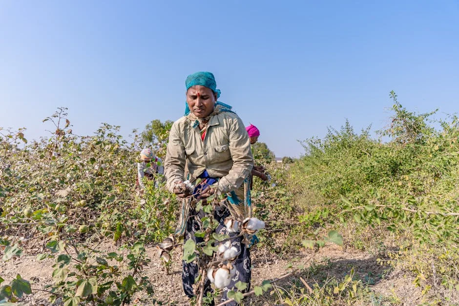 Texprocil Denies U.S. Claims on India's Cotton Textiles