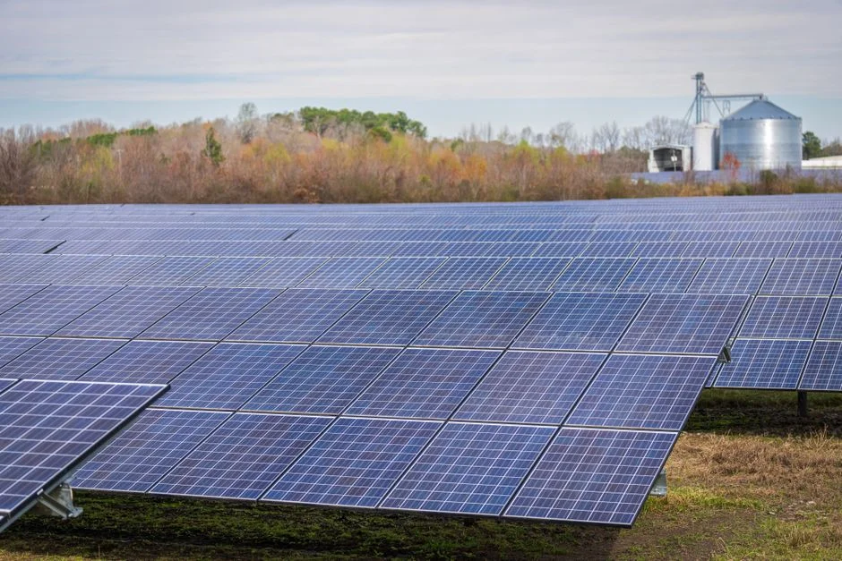 Vingroup Launches Solar Panels Above Philippines Fishponds — And Singapore Investors Are Watching — Environment Nature