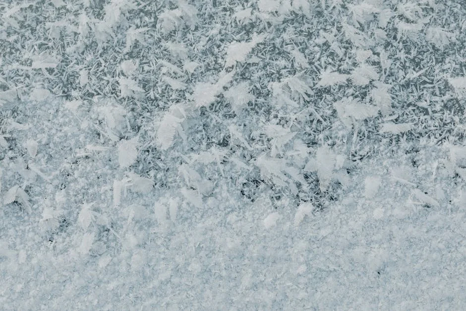 Weather Service Warns of Frost and Storms — Economy Braces for Impact