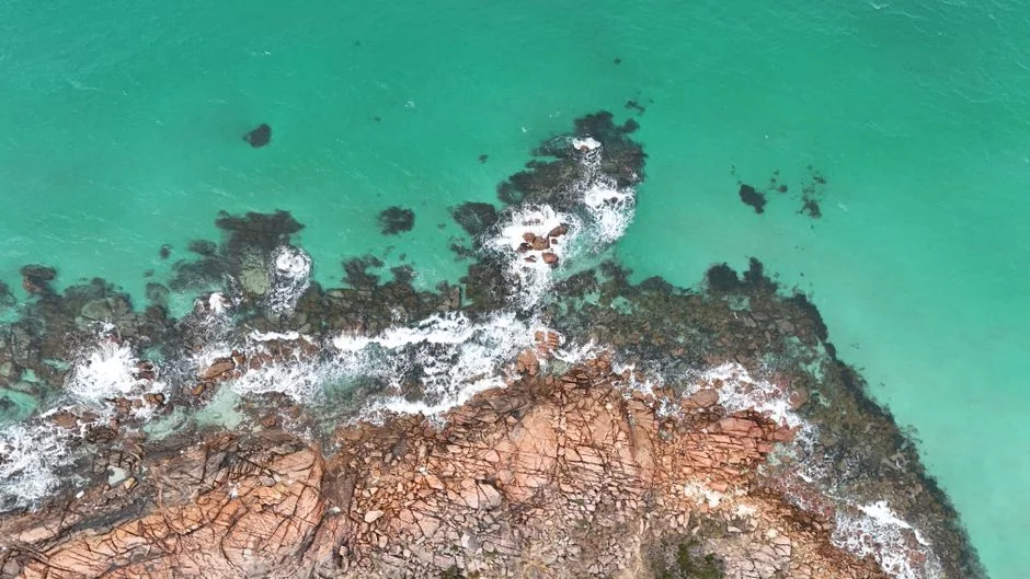Western Australia Shark Death Sparks Cull Debate — Tourism Industry Braces for Impact